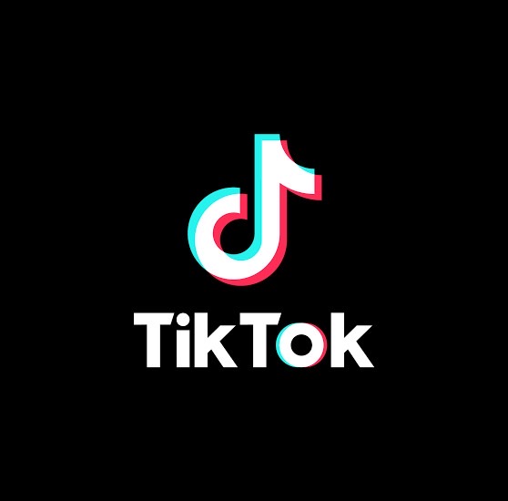 TikTokに関するオンラインサポート